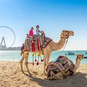 5* Resort The Ritz-carlton,